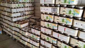 most common food pests