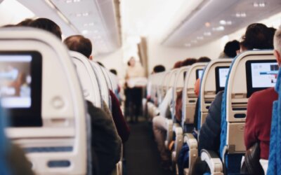 Pests on a Plane: How to Stay Bug-Free in the Skies