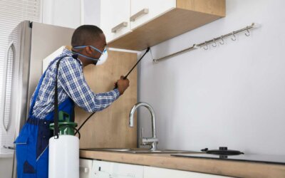 Indoor Pesticides: How to Use Them Safely