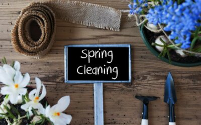 Spring Cleaning: Pest Control Advice For the Spring